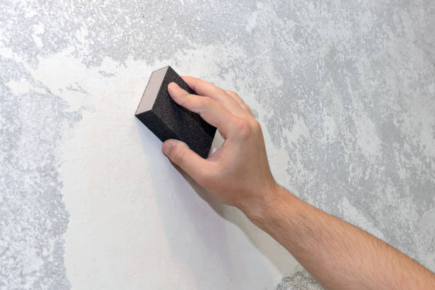 Best Comprehensive Air Testing for Mold Contaminants  in Holdenville, OK
