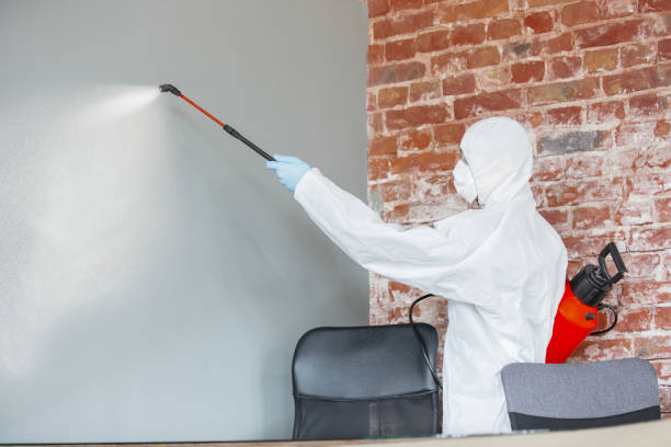Best Industrial Mold Remediation  in Holdenville, OK