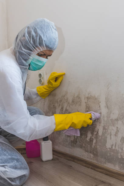 Best Indoor Air Quality Assessment  in Holdenville, OK