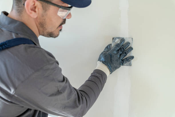 Best Commercial Mold Inspection  in Holdenville, OK