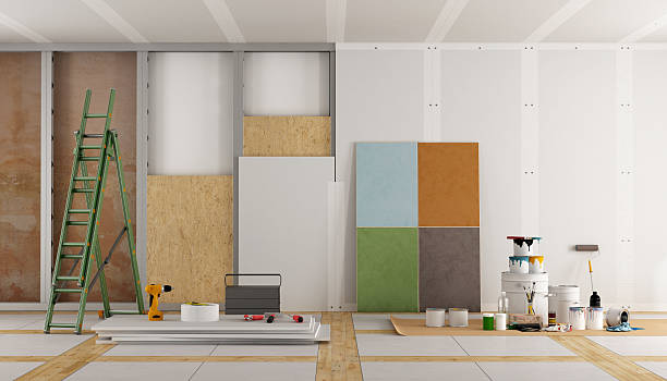 Best Attic Mold Removal  in Holdenville, OK